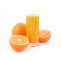 Naranjas zumo especial 10 kg medianas