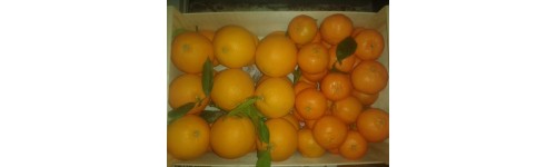 Combinados Naranjas del Turia